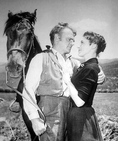 寻求庇护剧照的剧照