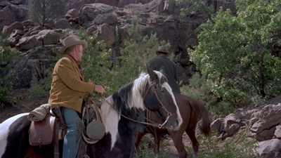 寻求庇护剧照的剧照