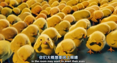 拯救小兔剧照的剧照