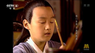 杨门女将之天波府风波剧照的剧照