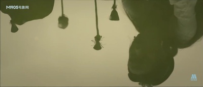 不肯去观音剧照的剧照