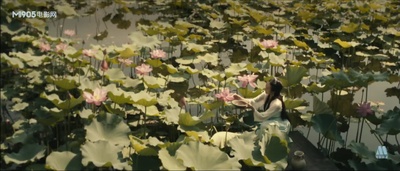 不肯去观音剧照的剧照