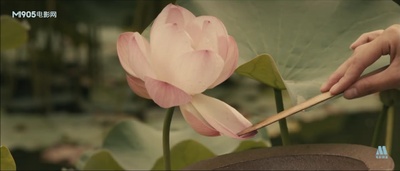 不肯去观音剧照的剧照