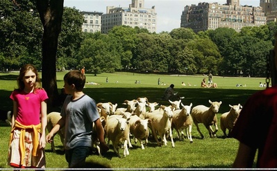小曼哈顿剧照的剧照