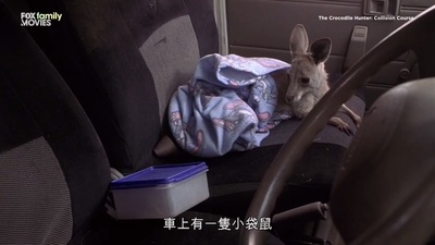 鳄鱼捕手剧照的剧照