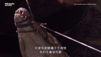 鳄鱼捕手剧照的剧照