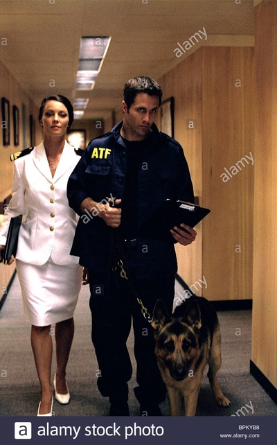 反恐精英剧照的剧照