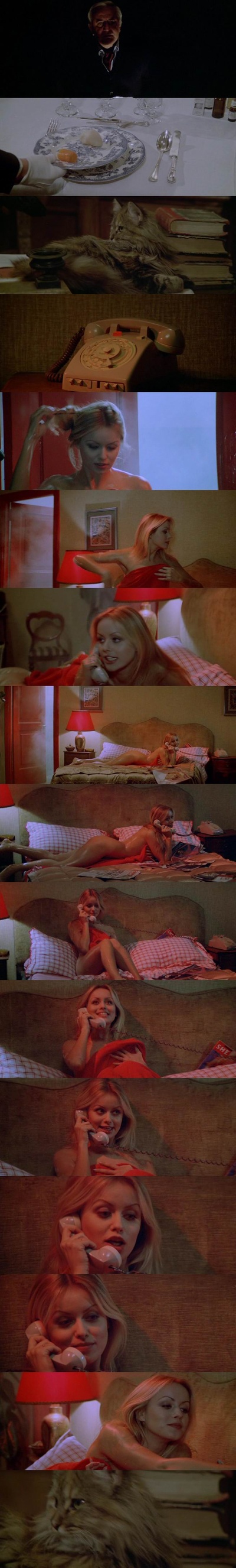 对一件完美罪案的调查剧照的剧照