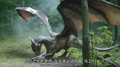 龙之心4：心火之战剧照的剧照