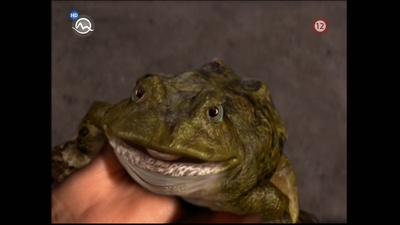 爱情魔力剧照的剧照