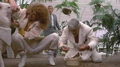 惊异大奇航剧照的剧照