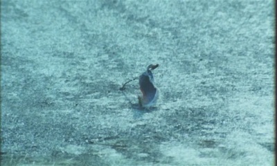 疯狂家庭战争剧照的剧照