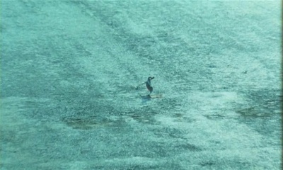 疯狂家庭战争剧照的剧照