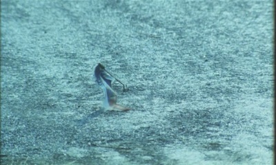 疯狂家庭战争剧照的剧照