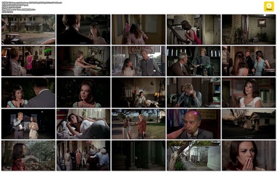 蓬门碧玉红颜泪剧照的剧照