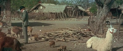 虎豹小霸王剧照的剧照