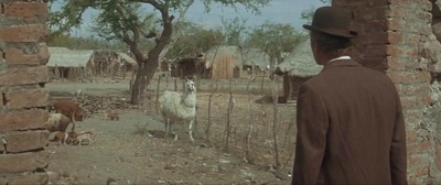 虎豹小霸王剧照的剧照