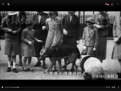 我们90岁的女王剧照的剧照