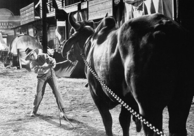 神兵总动员剧照的剧照