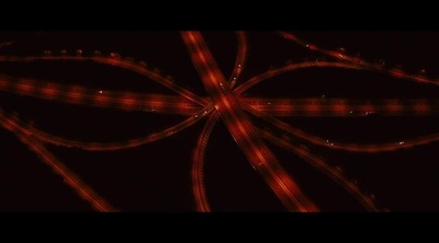 迷幻剧照的剧照