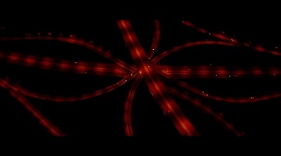 迷幻剧照的剧照