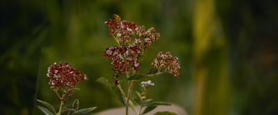斯托克剧照的剧照