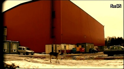 狗镇的告白剧照的剧照