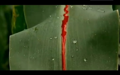 真·女立食师列传剧照的剧照