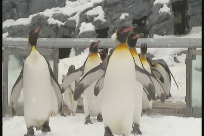 奇迹动物园2010剧照的剧照