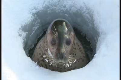 奇迹动物园2010剧照的剧照