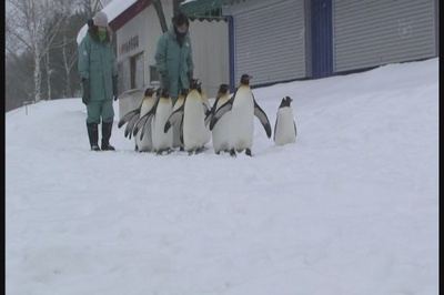 奇迹动物园2010剧照的剧照