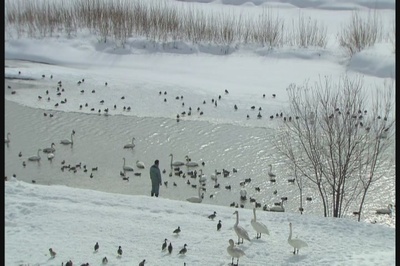 奇迹动物园2010剧照的剧照