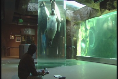 奇迹动物园2010剧照的剧照