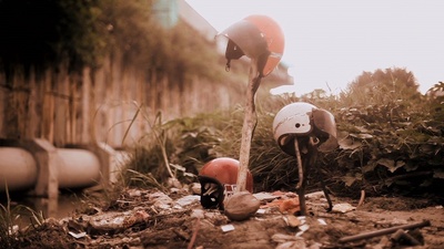 含羞草之梦剧照的剧照