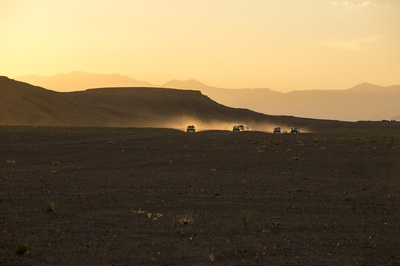 含羞草剧照的剧照