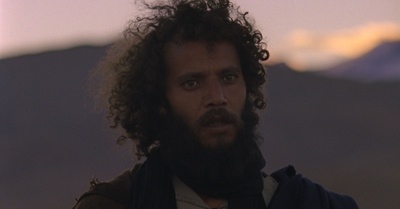 含羞草剧照的剧照