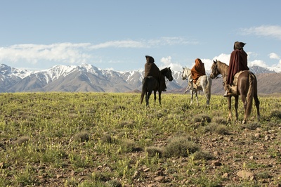 含羞草剧照的剧照