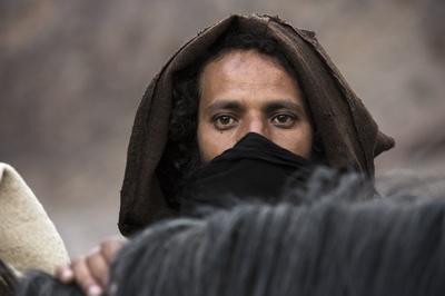 含羞草剧照的剧照