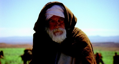 含羞草剧照的剧照