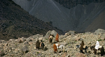 含羞草剧照的剧照