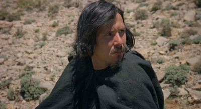 含羞草剧照的剧照