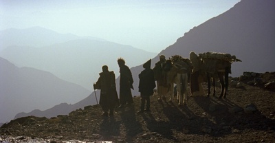 含羞草剧照的剧照