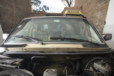 含羞草剧照的剧照