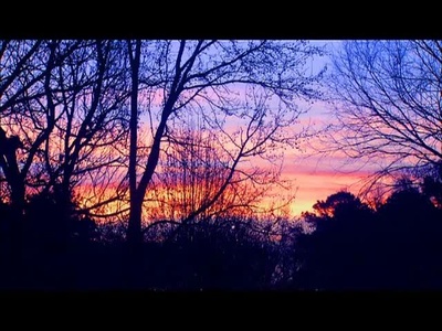 血车剧照的剧照