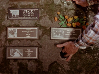 天堂之门剧照的剧照