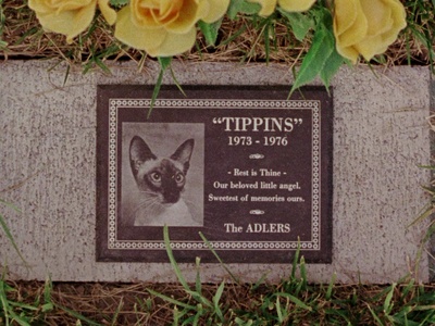 天堂之门剧照的剧照