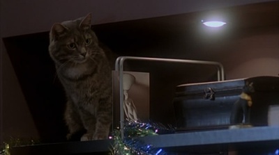 雪天使剧照的剧照