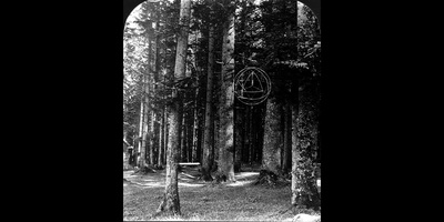 原型剧照的剧照