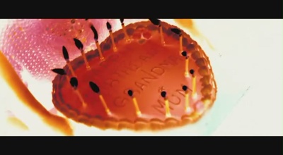 无情剧照的剧照