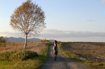 魔法使的条件剧照的剧照